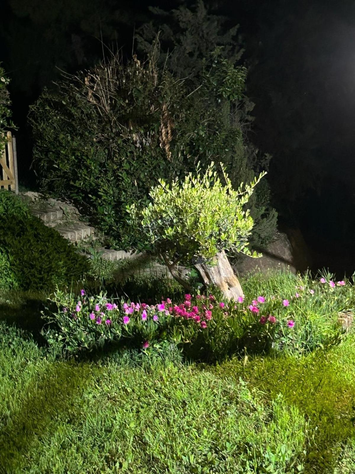 Casalustro Villa Чита' Сант'Анджело Екстериор снимка
